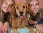 Dogs Help Nurture Kids’ Emotional-Social Development, Study Suggests