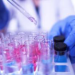 Coronavirus antibodies tests ‘put public at risk’