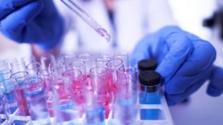 Coronavirus antibodies tests ‘put public at risk’