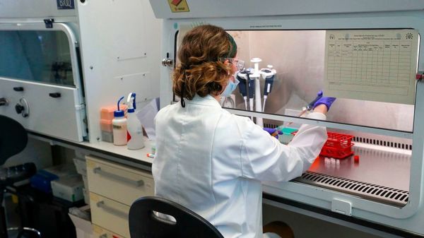 Vaccine Candidate Delivers Protection In A Single Shot (In Monkeys)
