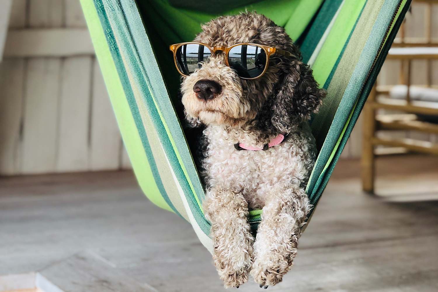 Classical California Summer: Your Playlist for Hangin’ in the Hammock