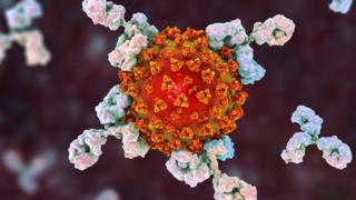 Coronavirus: Monoclonal antibodies to begin UK trial
