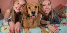 Dogs Significantly Improve Teens’ Social Development, New Research Finds