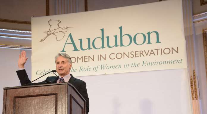 Audubon CEO resigns after complaints of toxic workplace