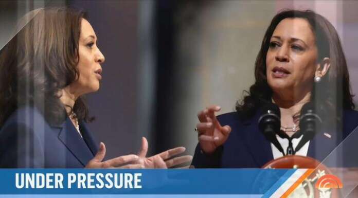 Nets Censor Damning Expose of VP’s Office: ‘A Place Where People Feel Treated Like S***’