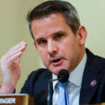 How screwed is Adam Kinzinger?