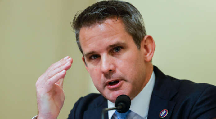 How screwed is Adam Kinzinger?