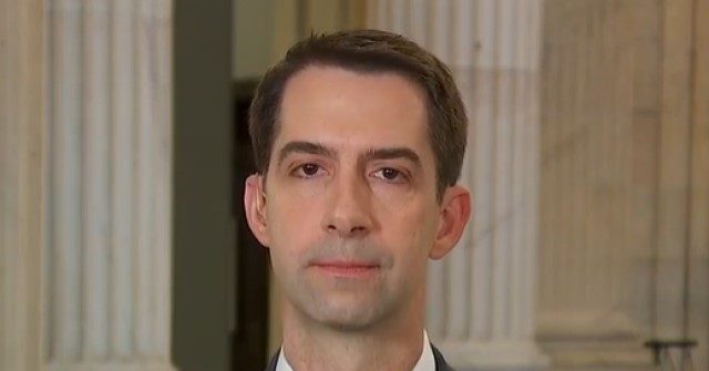 Cotton: Biden Will Blame Americans Stranded in Afghanistan by Saying They Didn’t Want to Leave