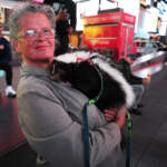Why Are We Vaccinating Skunks Before Humans?