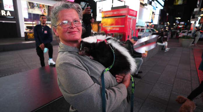 Why Are We Vaccinating Skunks Before Humans?