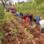 Zimbabwean nonprofit promotes ‘God’s way’ of farming