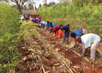 Zimbabwean nonprofit promotes ‘God’s way’ of farming