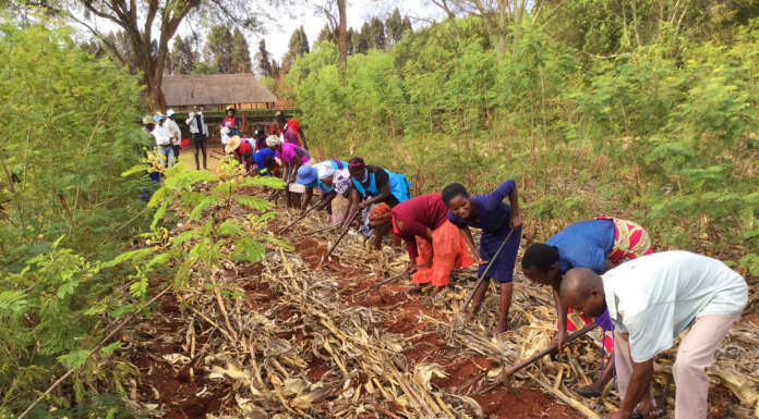 Zimbabwean nonprofit promotes ‘God’s way’ of farming
