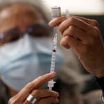 Most Covid-19 vaccines work as booster, study finds