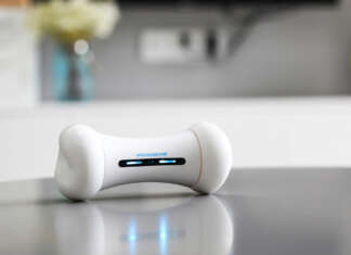 Cheerble’s Wickedbone is a fun smart dog toy with a mind of its own