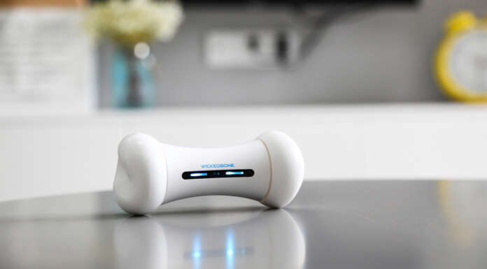 Cheerble’s Wickedbone is a fun smart dog toy with a mind of its own