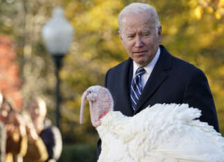 Biden thanks immigrants and frontline workers, remembers troops in Thanksgiving day proclamation