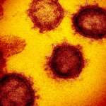 Covid cases increase almost fivefold in India