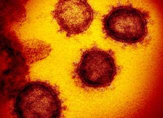 Covid cases increase almost fivefold in India