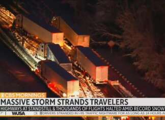As Liberals Blame ‘Governor’ Youngkin for Highway Horror, Nets Let Actual Gov Avoid Fault