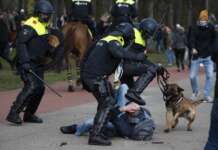 DISGUSTING: Police Use Attack Dogs Against Anti-Lockdown Demonstrators In Netherlands